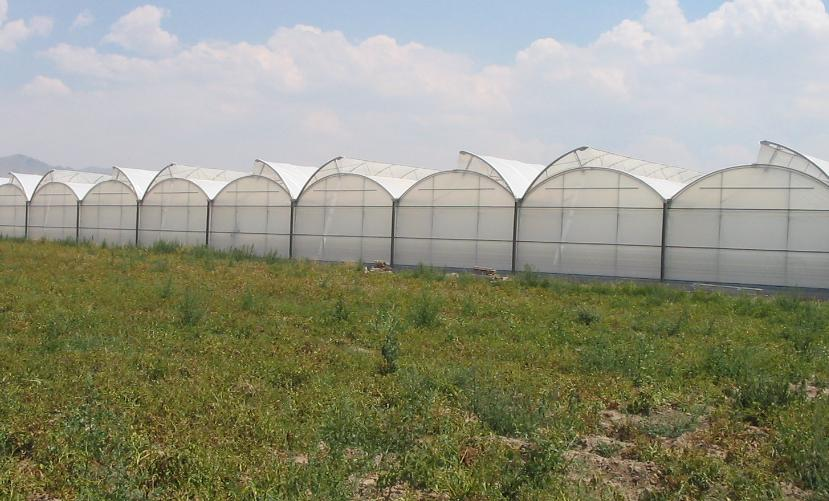 Zorionak beroki gure enpresa proiektu berri bat irabazteagatik
