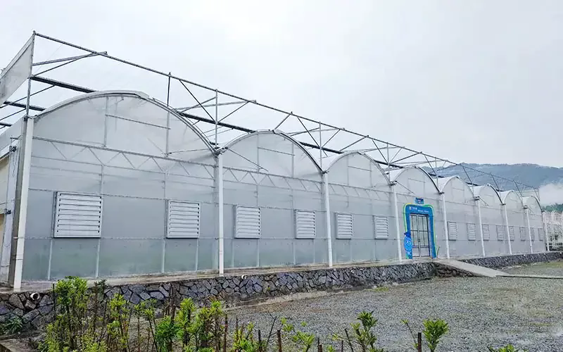 Zeintzuk dira MultiPan plastikozko filmaren berotegiaren ezaugarriak?