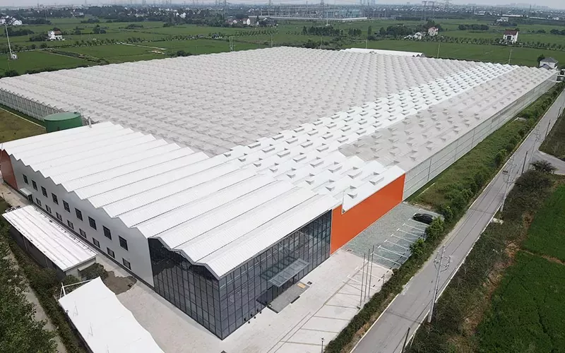 Multispan beirazko negutegiaren abantailak